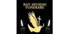 Logo Ray Apuseni Funerare
