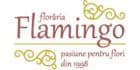 Logo Florăria Flamingo Reghin
