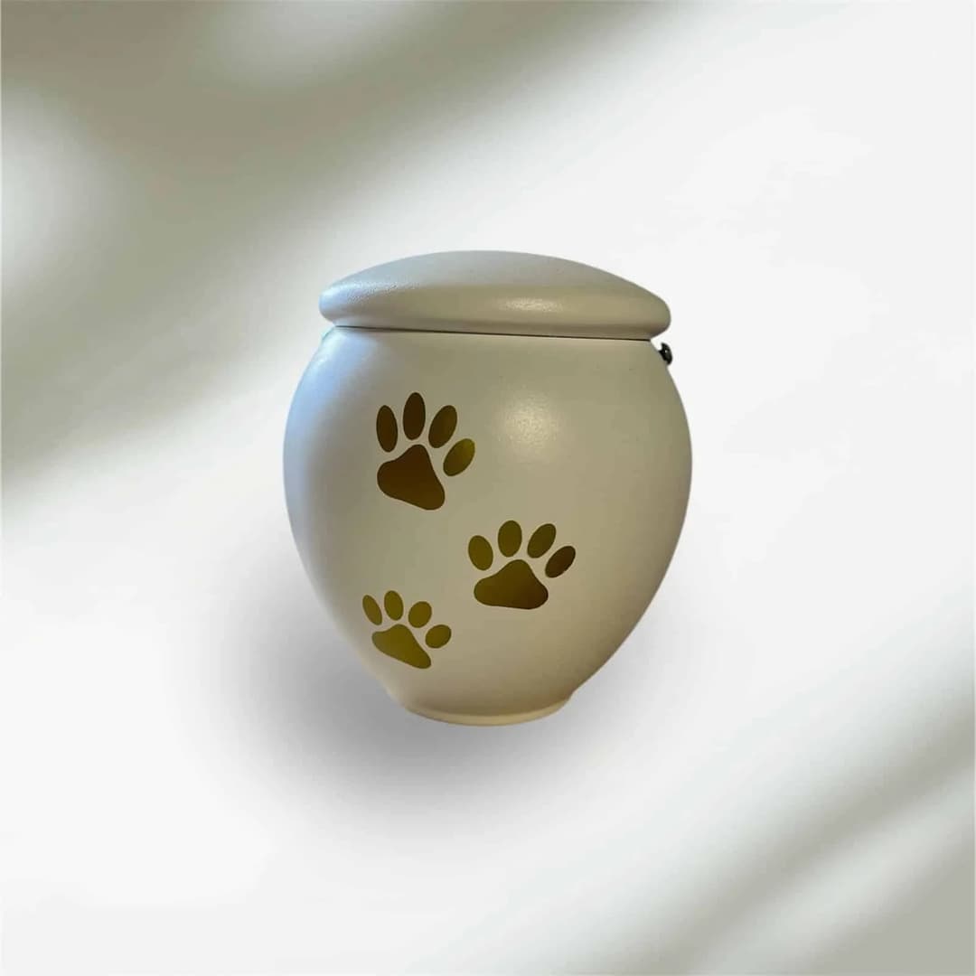 Urna A01